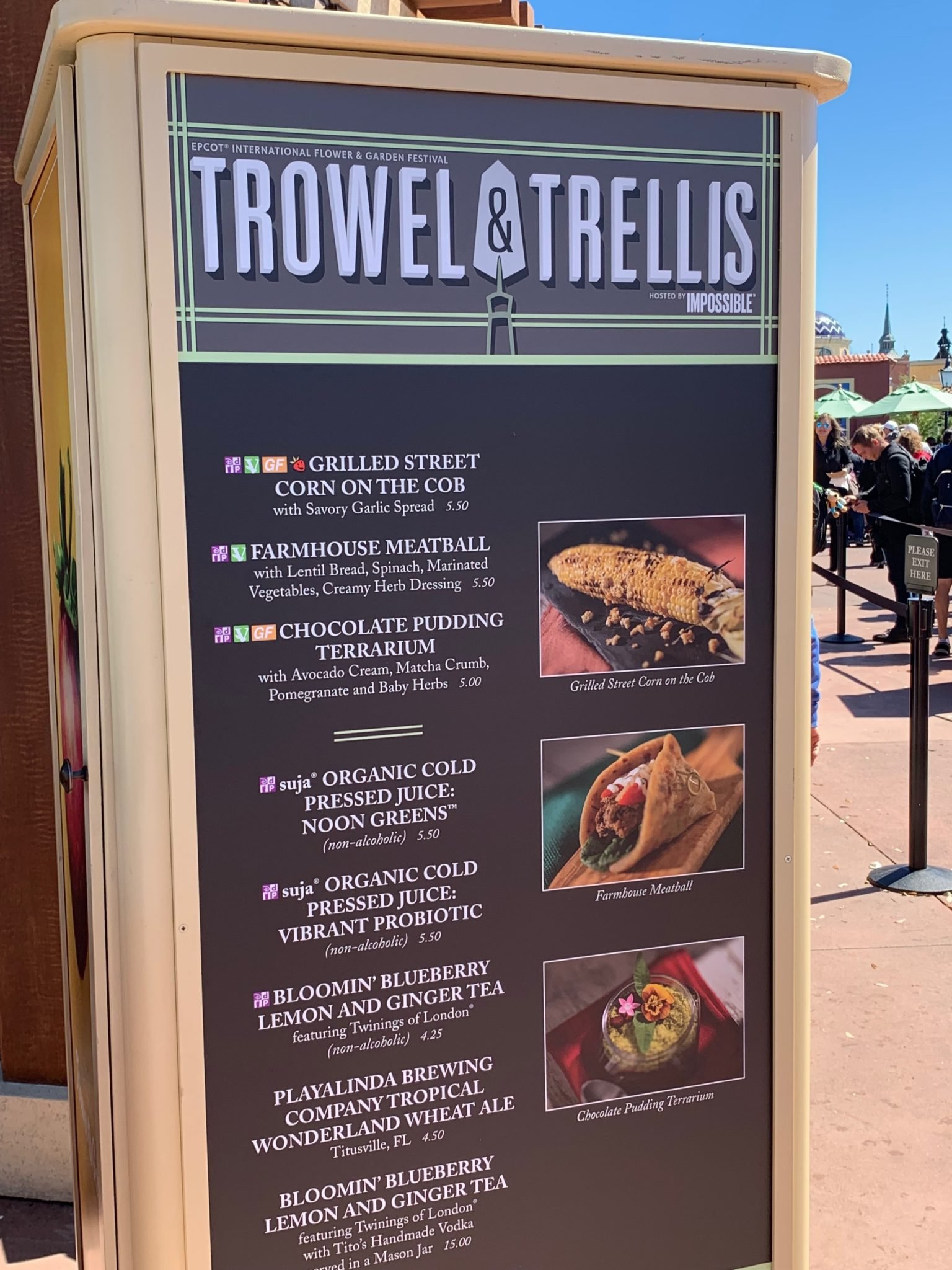 Outdoor Kitchens Menus Released! Disney Over 50